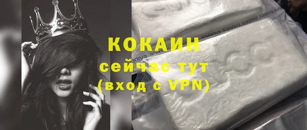 дмт Костерёво