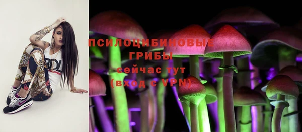 стафф Козловка