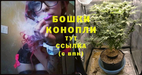 стафф Козловка