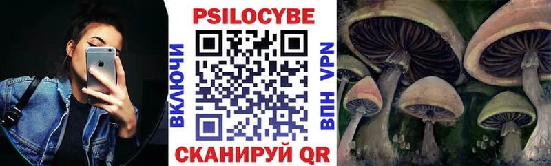 Купить закладки  Бугульма  Галлюциногенные грибы Magic Shrooms 
